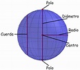 Elementos de una Esfera con Diagramas - Neurochispas