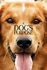 Watch A Dog's Purpose Movie Online free - Fmovies