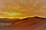 10 great photographs of the Namib desert | Discover Africa Safaris