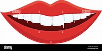 Icono de sonrisa de dientes blancos. Dibujo animado de dientes blancos ...
