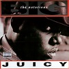 The Notorious BIG – Juicy (1994) – Vibes On Wax Records