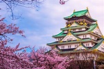 Los TOP 25 lugares turísticos de Japón para visitar - Tips Para Tu ...