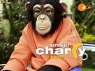 Amazon.de: Unser Charly - Staffel 11 ansehen | Prime Video