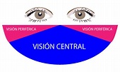 La visión periférica y su importancia para nuestra salud de ojos