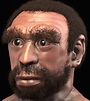 Homo heidelbergensis: qué es, descubrimiento, características, cráneo