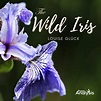 Analysis of The Wild Iris by Louise Glück | Poem Analysis