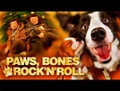Paws, Bones & Rock'n'roll trailer (english subtitles) - YouTube