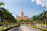 Coral Gables Florida Stock Photos, Pictures & Royalty-Free Images - iStock