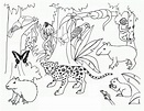 Libro para colorear de la selva tropical con animales para imprimir y ...