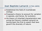 Theory Evolution: Jean Baptiste Lamarck Theory Evolution