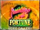 Flamingo Fortune/Video Gallery | Game Shows Wiki | Fandom