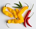 Chili pepper - Wikipedia