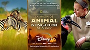 Magic of Disney's Animal Kingdom: Trailer para la nueva docuserie de ...