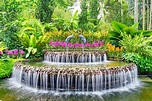 National Orchid Garden in Singapore - Singapore Attractions - Go Guides