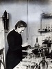 Francia conmemora el 150 aniversario del nacimiento de Marie Curie ...