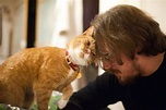 8 Ways Cats Show Their Love To Humans - Cat Fancast