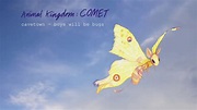 Boys Will Be Bugs by Cavetown (Official Audio) | Animal Kingdom - YouTube