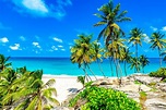 38 Pictures of Barbados You'll Fall in Love with | SANDALS