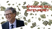 Spending Bill Gates money - YouTube