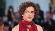 Timothée Chalamet Gay: Call Me By Your Name Star's Sexuality, Career ...