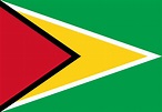 Bandera de Guyana - Banderas y Soportes