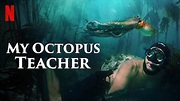 My Octopus Teacher and The Outside Story now playing | WCIA.com