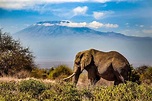 10 Mind-Blowing Kenya National Parks and Reserves You Can’t Afford to ...
