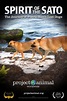 Spirit of the Sato: The Journey of Puerto Rico's Lost Dogs (2013) movie ...