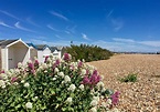 Things To Do In Shoreham by Sea | Sussex Top Attractions