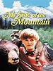 Watch My Side of the Mountain | Prime Video