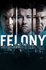 Felony (2014) Movie - CinemaCrush