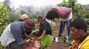 Traditional "Mumu" ( pig kill ), Mendi, Southern Highlands - Papua New Guinea - YouTube