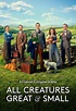 Todas las criaturas grandes y pequeñas (Serie de TV) (2020) - FilmAffinity