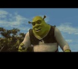 Meme Shrek GIF - Meme Shrek Dreamworks - Discover & Share GIFs