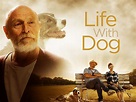 Life With Dog (Movie Review) – Box Office Revolution