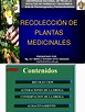 Recolección de Plantas Medicinales Por Q.F. Marilú Roxana Soto Vásquez ...