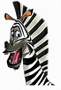 Marty - Marty the Zebra Fan Art (24376549) - Fanpop