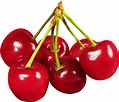 Download Red Cherry Png Image Download HQ PNG Image | FreePNGImg