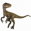 Velociraptor | Jurassic World Alive Wiki - GamePress