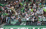 VfL Wolfsburg in Bundesliga aktuell: Ergebnisse, Spiele und Tabelle in ...