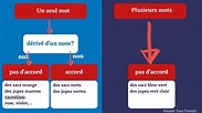 L'accord des adjectifs de couleur - Master Your French