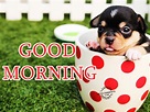 Good Morning Image - DesiComments.com