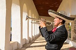 INSTRUMENTOS DEL MARIACHI - instrumentos musicales del mariachi