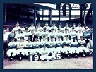 1955 Brooklyn Dodger Team Photo | Dodgers, Team photos, Dodgers baseball