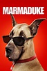 Marmaduke (2010) — The Movie Database (TMDB)
