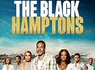 The Black Hamptons TV Show Air Dates & Track Episodes - Next Episode
