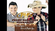 Pedro Henrique e Fernando - Vou lhe Usar [Oficial] - YouTube