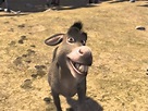 Shrek Characters Donkey