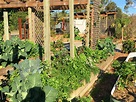 Organic Gardens | Brisbane Landscaping & Organic Garden Design