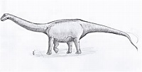 Argentinosaurus by Skiebear on DeviantArt